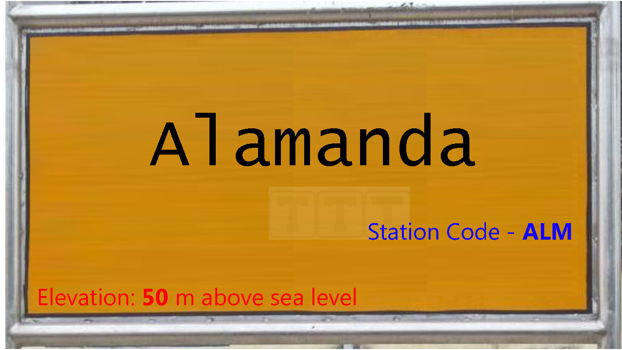 Alamanda Alamanda