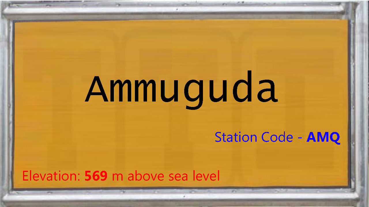 Ammuguda