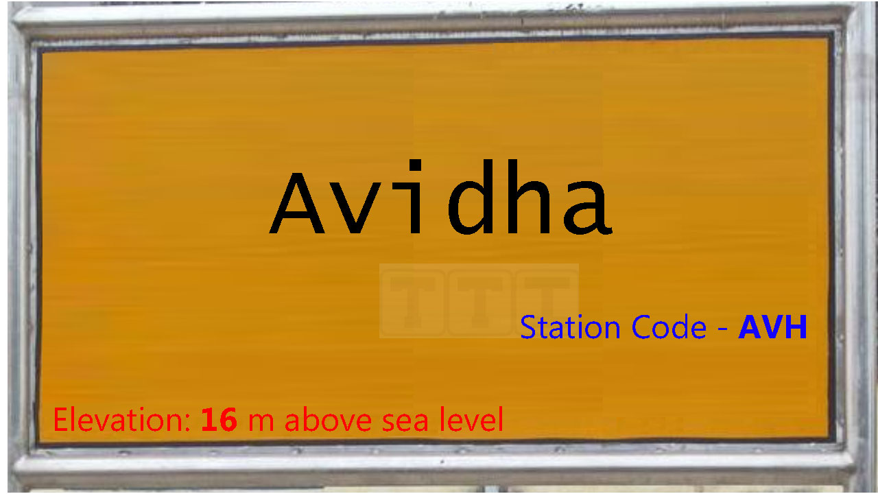Avidha
