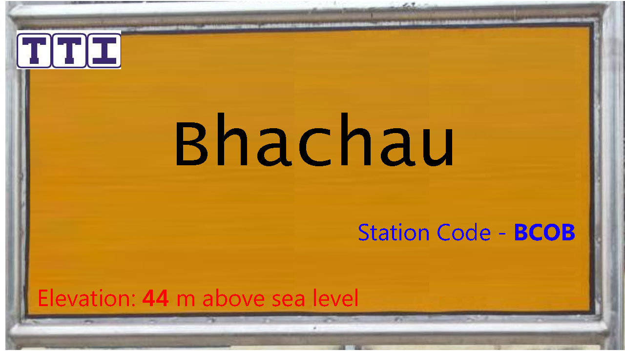 Bhachau Bhachau
