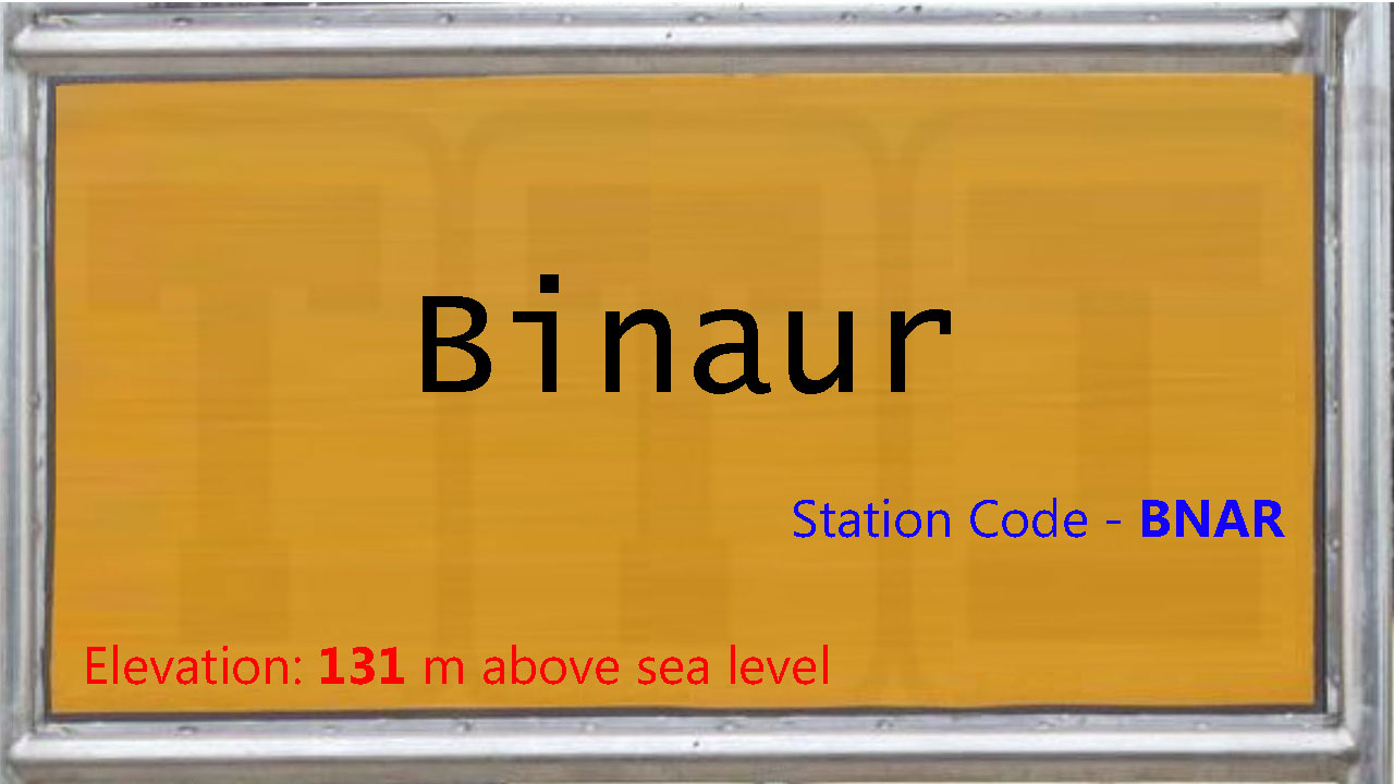 Binaur Binaur