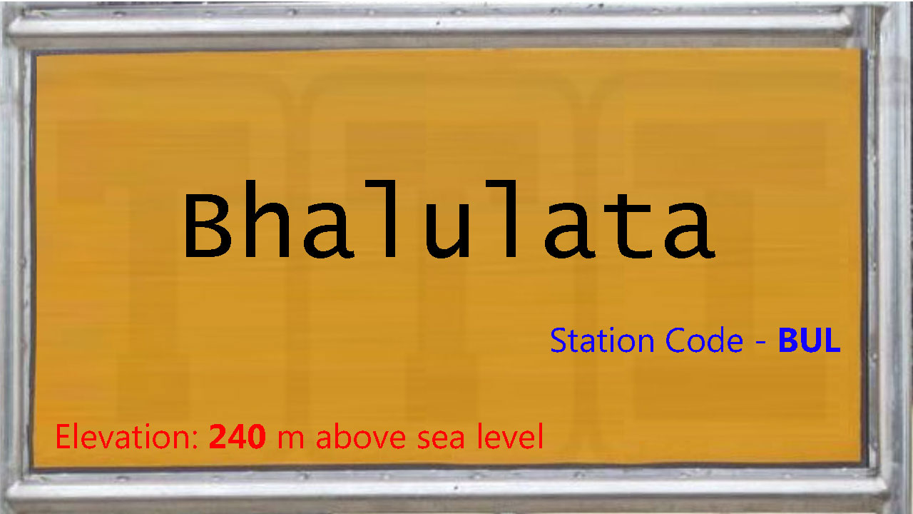 Bhalulata Bhalulata