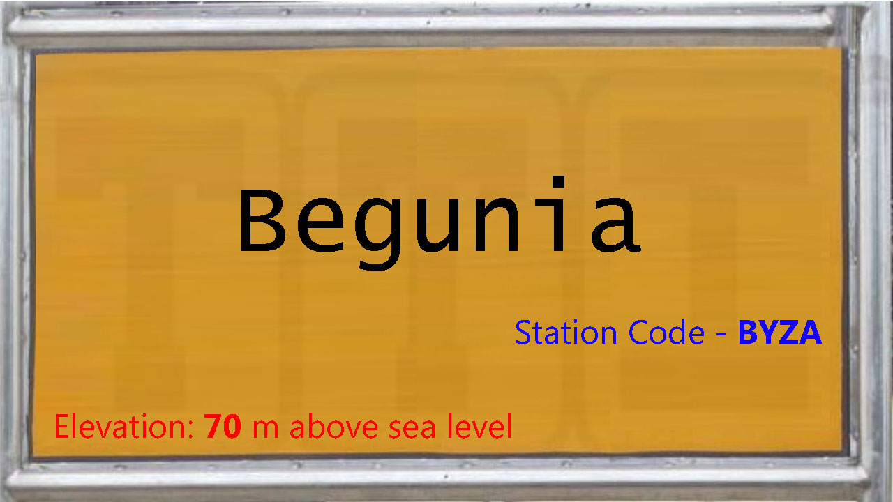 Begunia Begunia