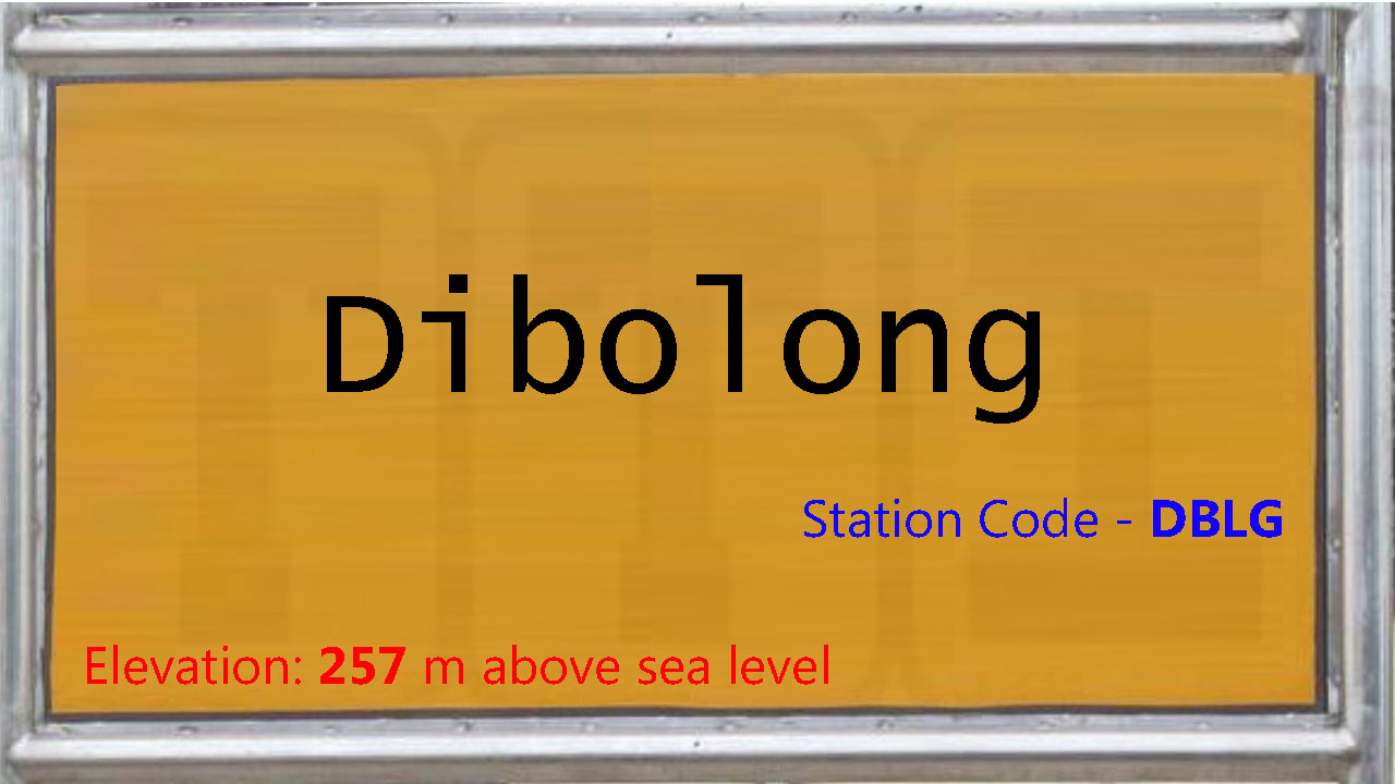 Dibolong