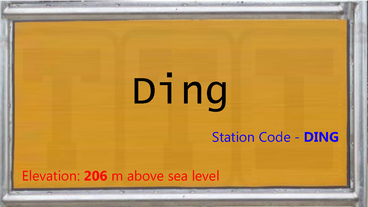 Ding Ding