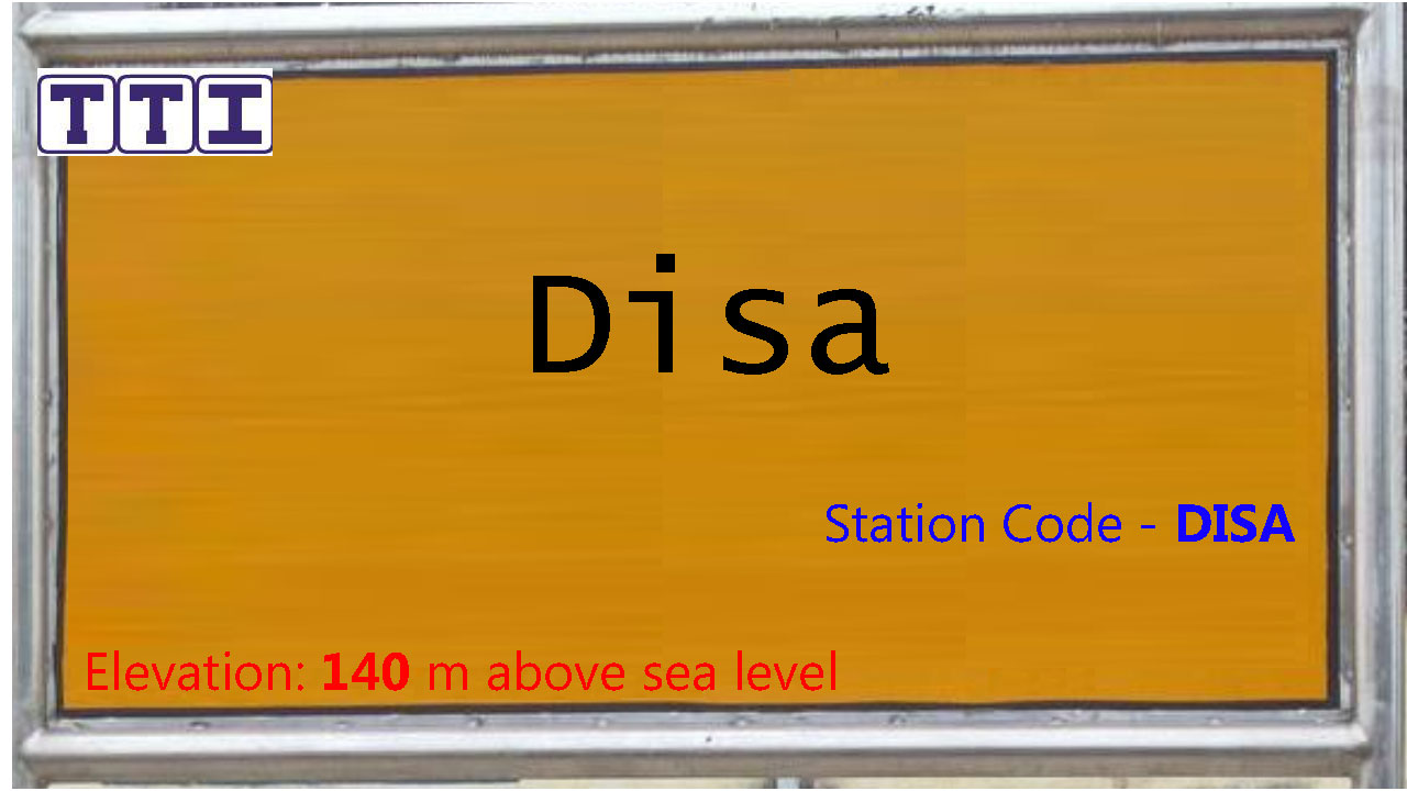 Disa Disa