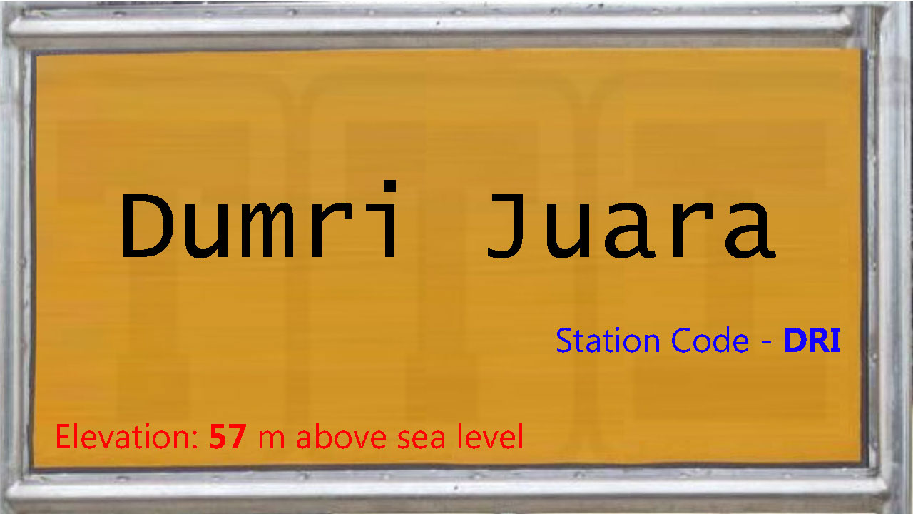 Dumri Juara Dumri Juara