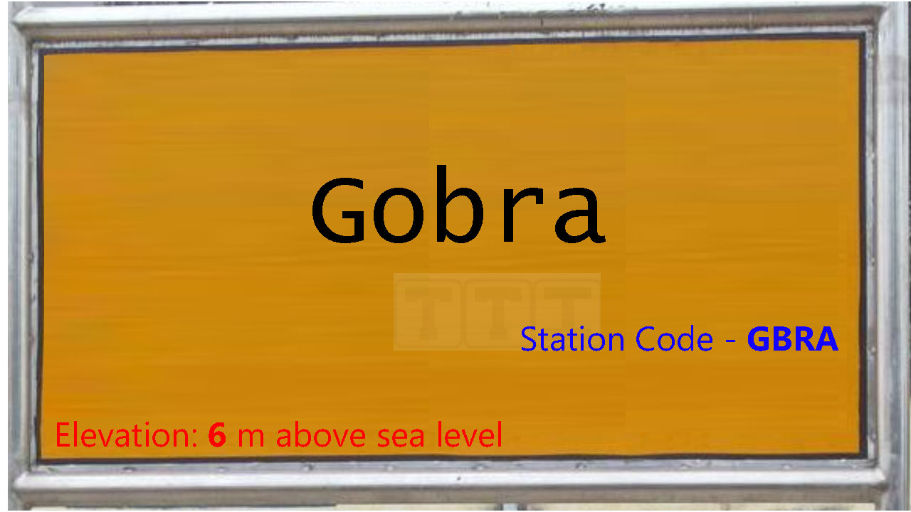 Gobra Gobra