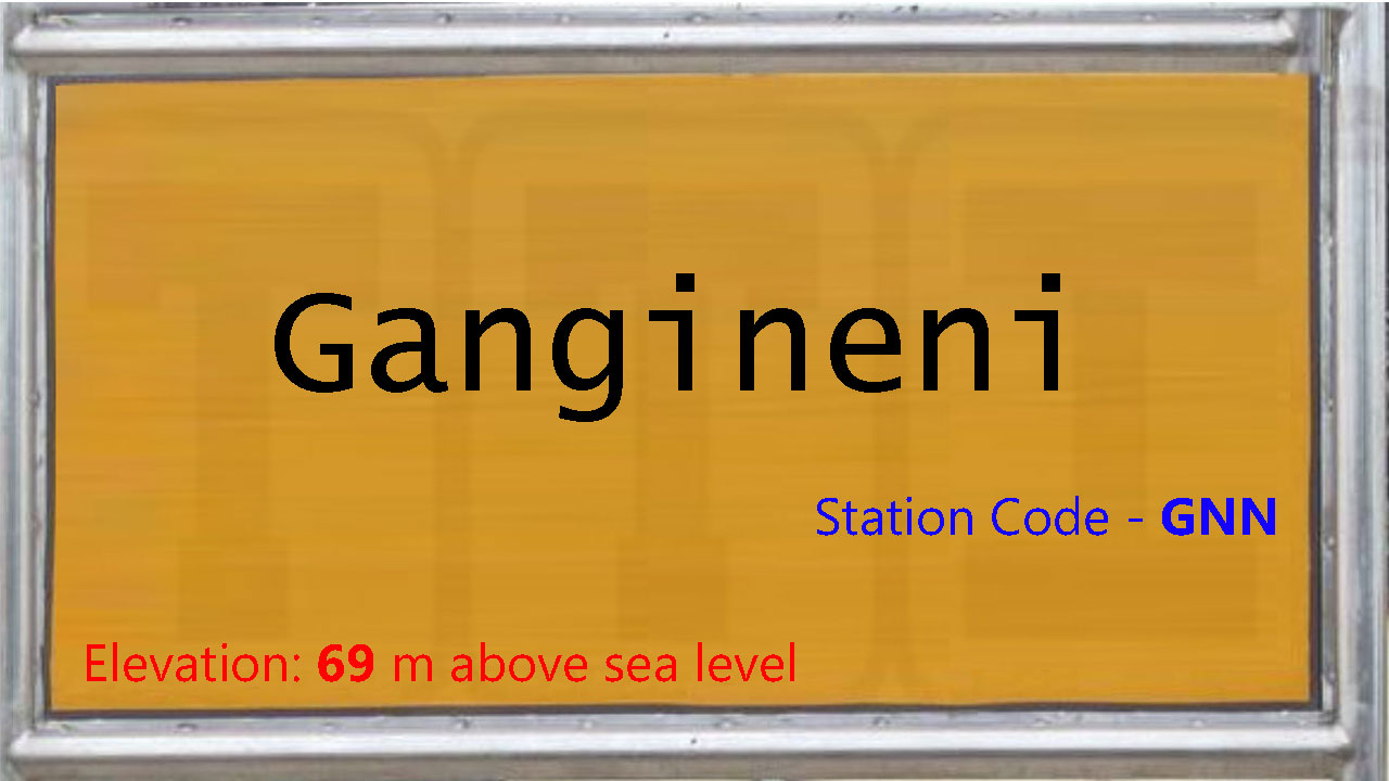 Gangineni Gangineni