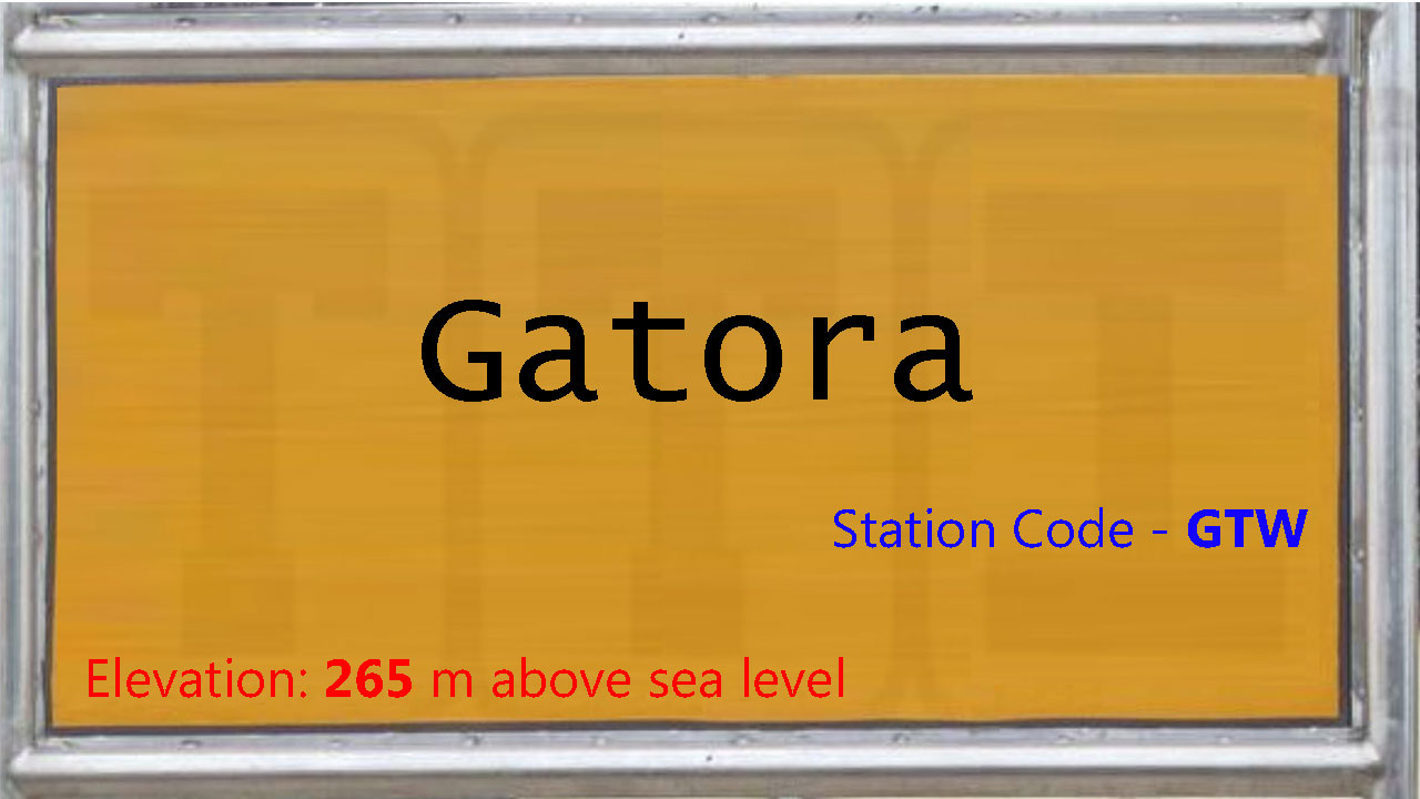 Gatora Gatora
