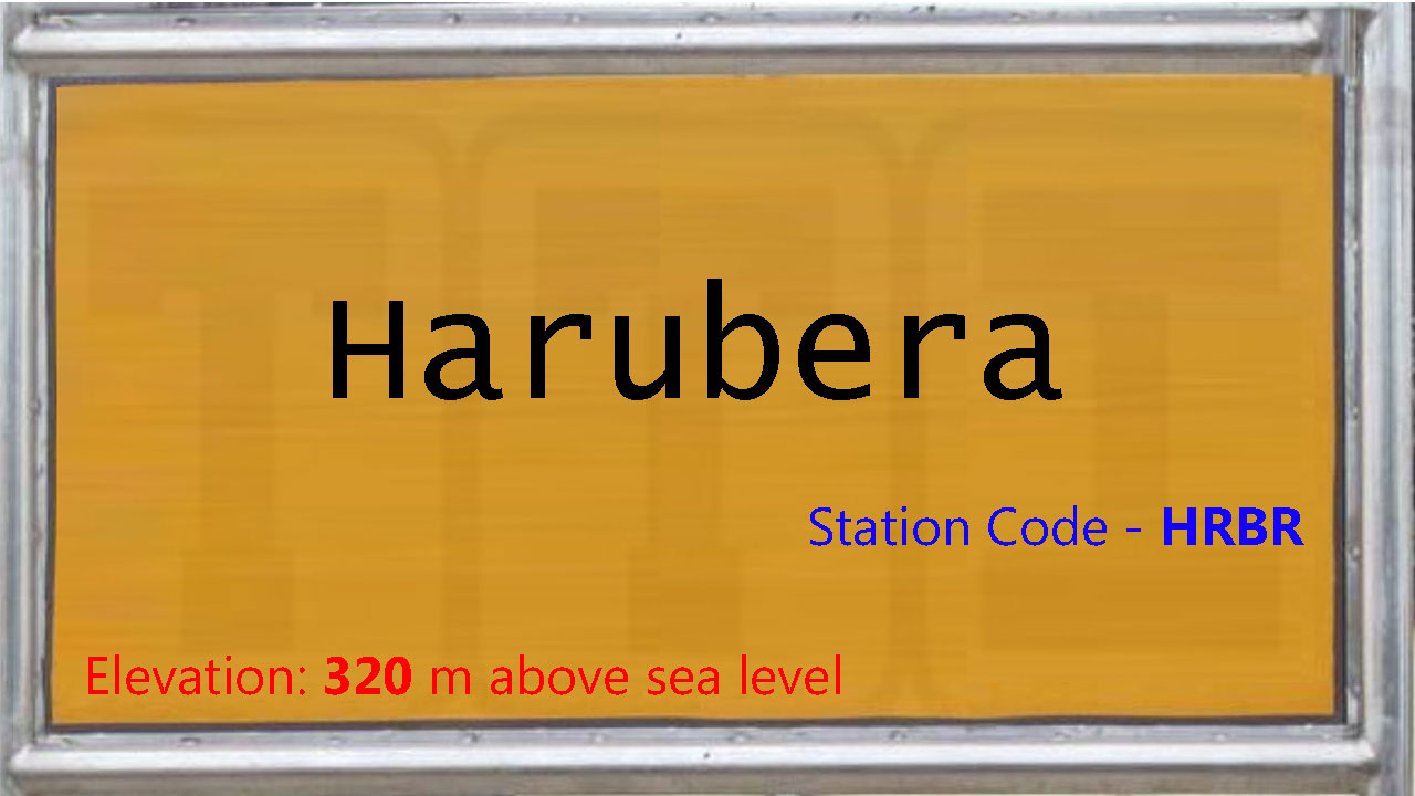 Harubera