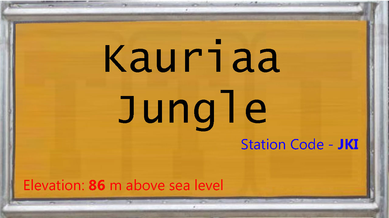 Kauriaa Jungle Kauriaa Jungle