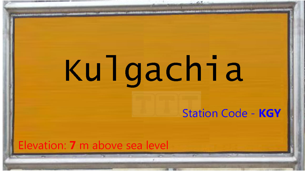 Kulgachia