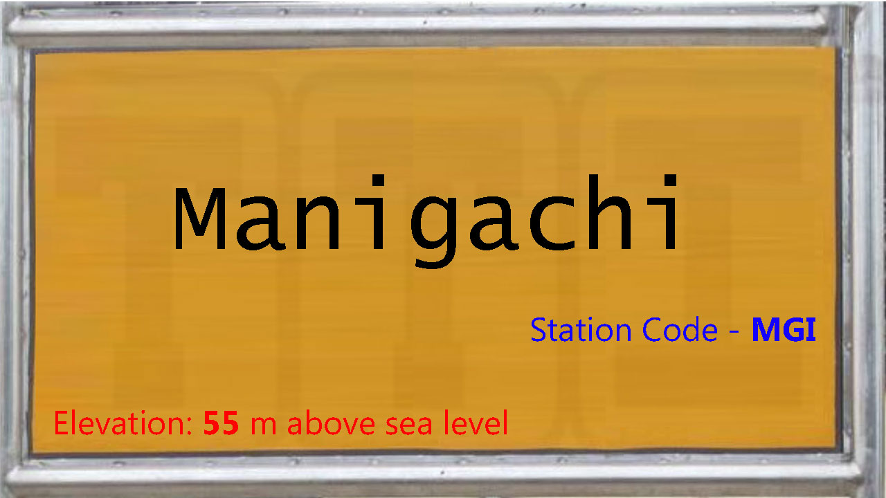 Manigachi