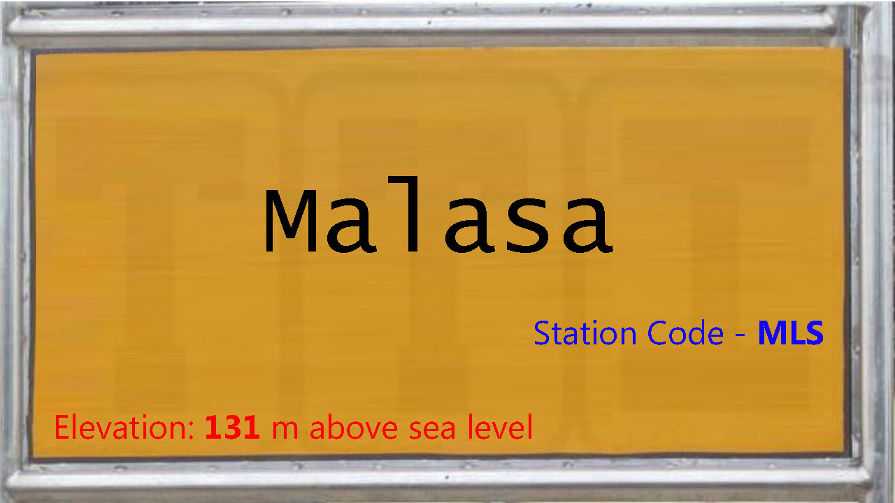 Malasa
