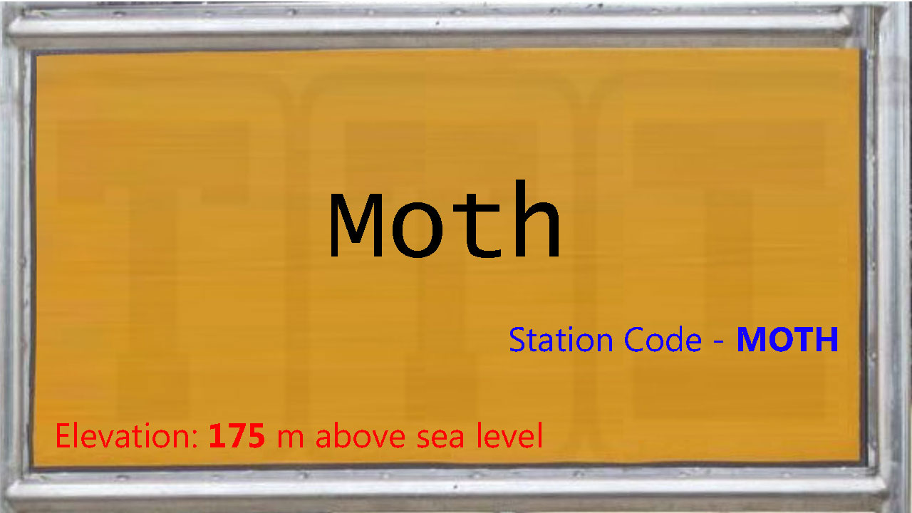 Moth Moth