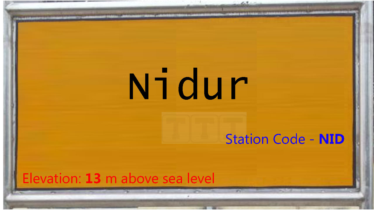 Nidur