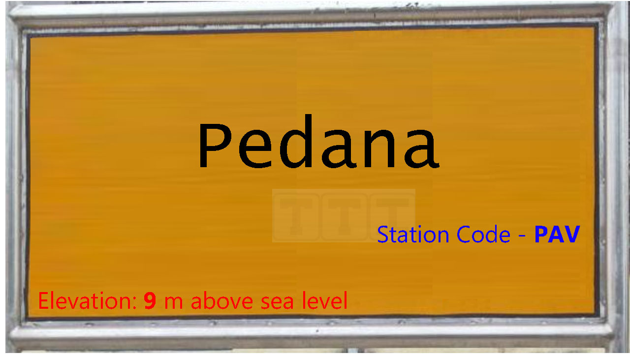 Pedana