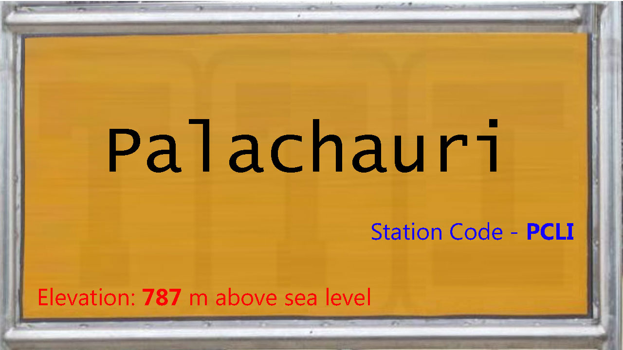 Palachauri