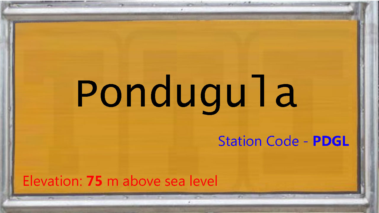 Pondugula