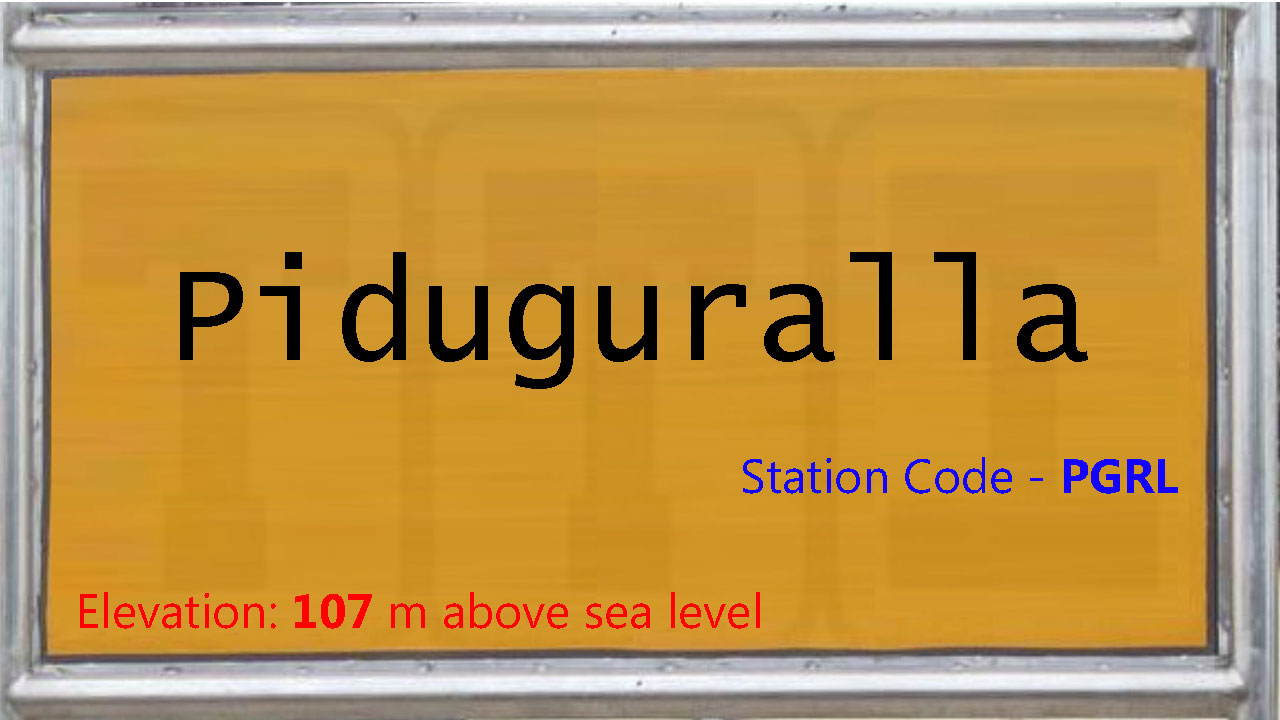 Piduguralla Piduguralla