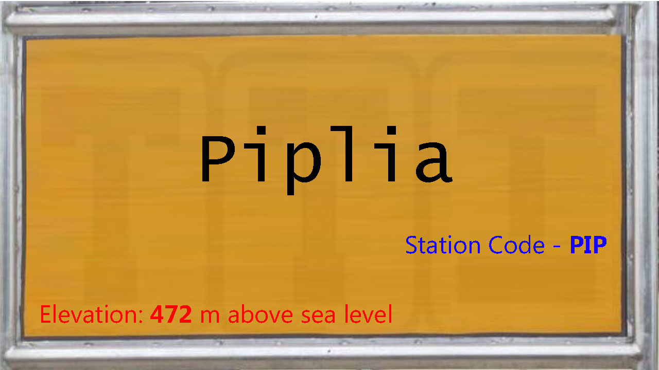 Piplia