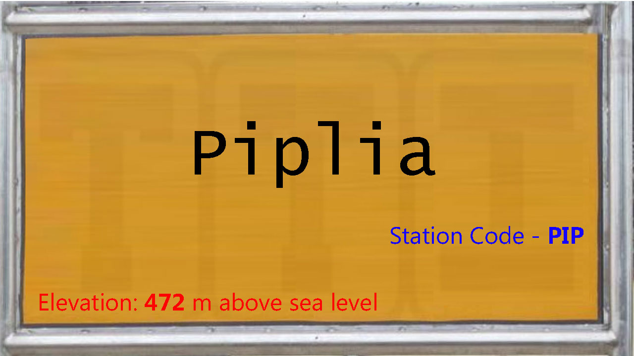 Piplia Piplia