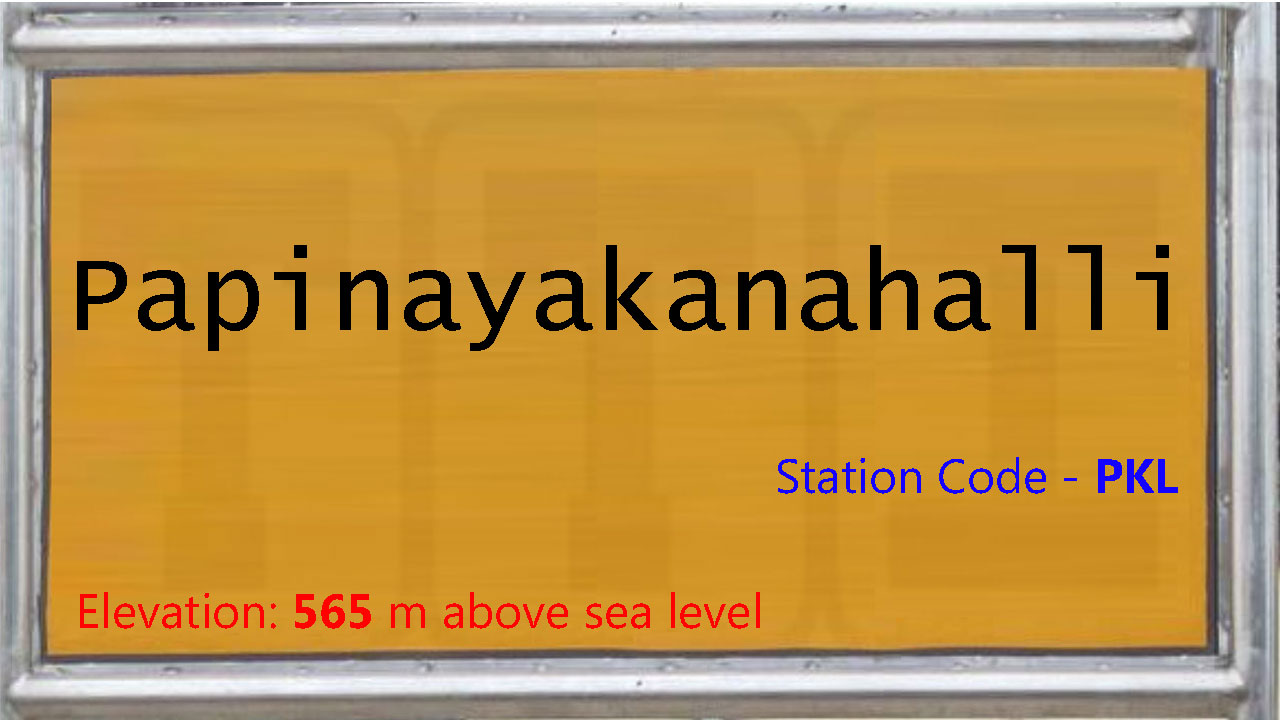 Papinayakanahalli
