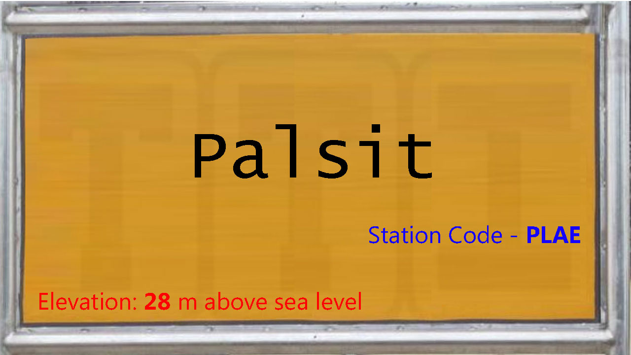 Palsit