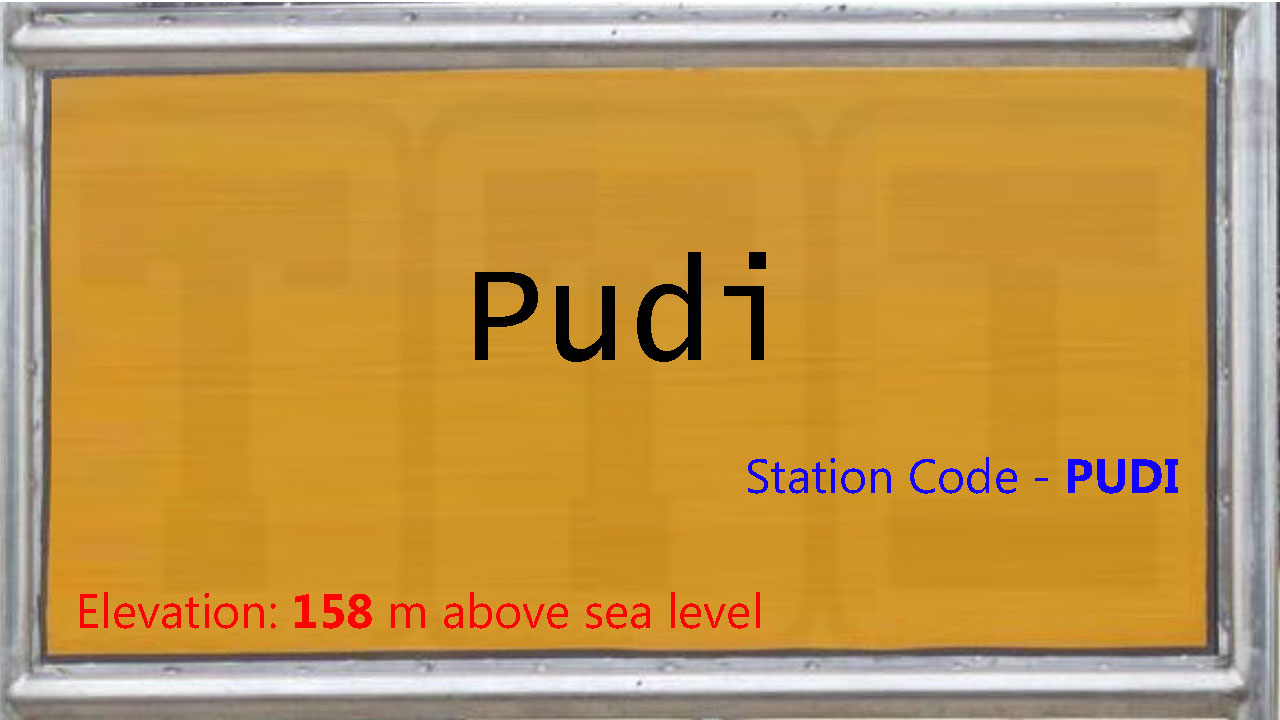 Pudi