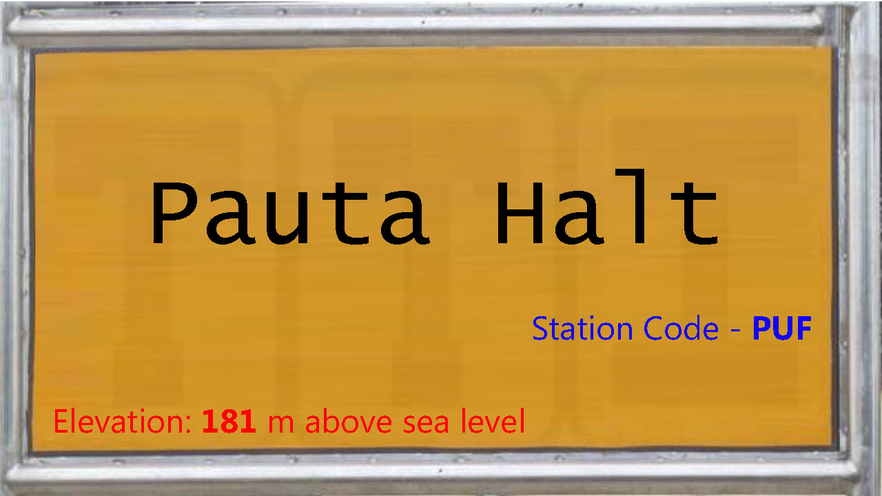 Pauta Halt