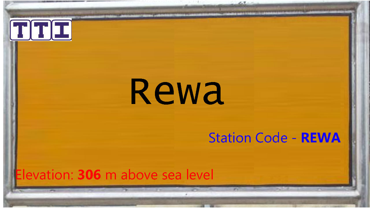 Rewa Rewa