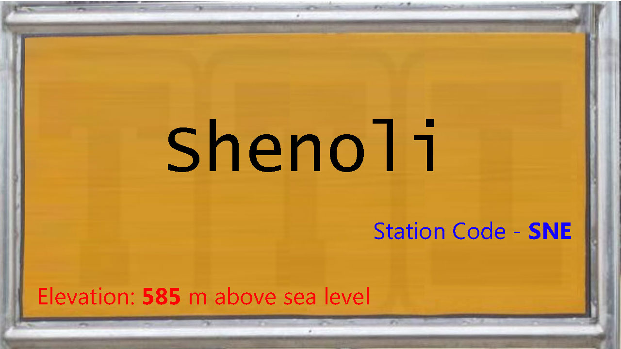 Shenoli Shenoli