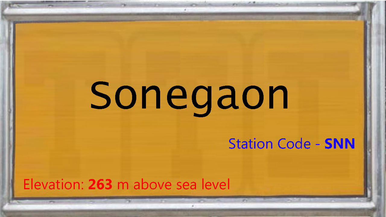 Sonegaon
