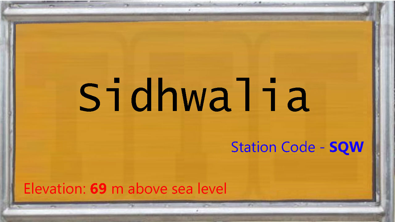 Sidhwalia Sidhwalia
