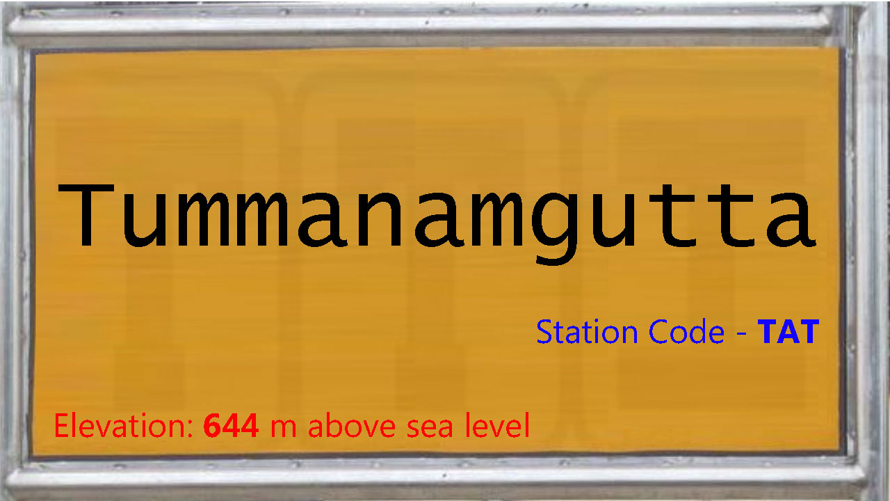 Tummanamgutta