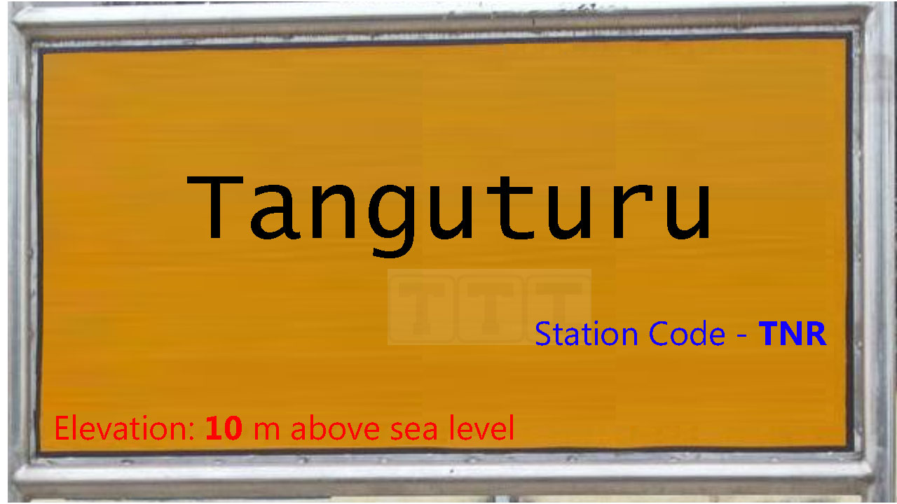 Tanguturu Tanguturu
