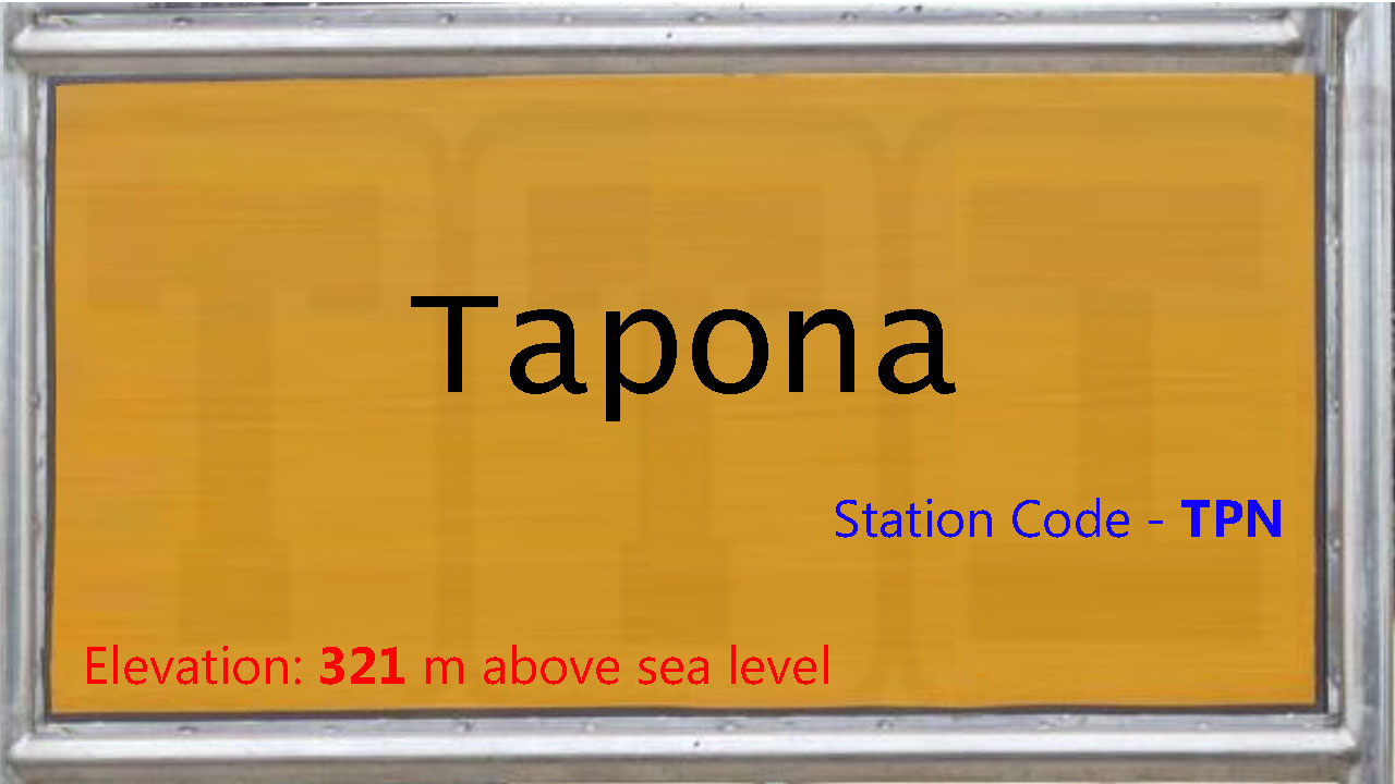 Tapona