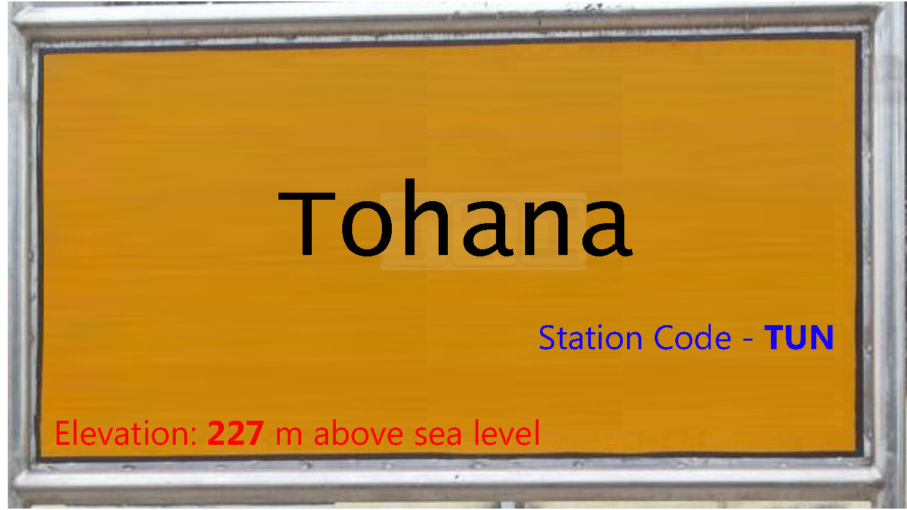 Tohana Tohana