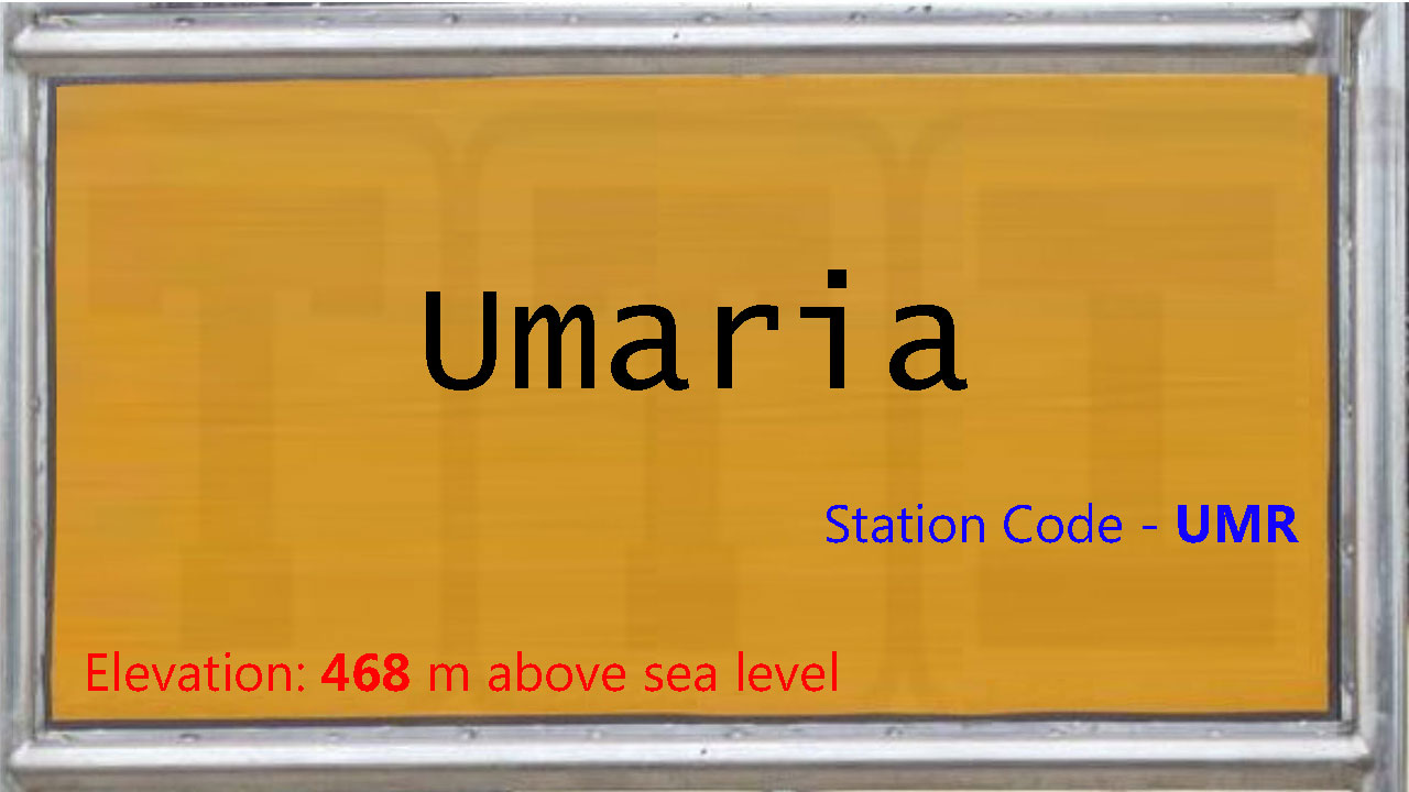 Umaria