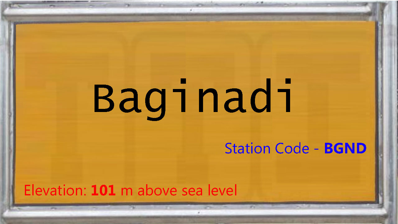 Baginadi