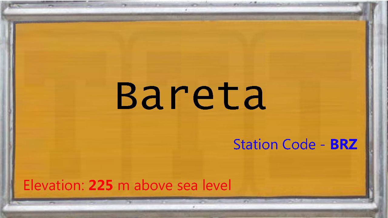 Bareta