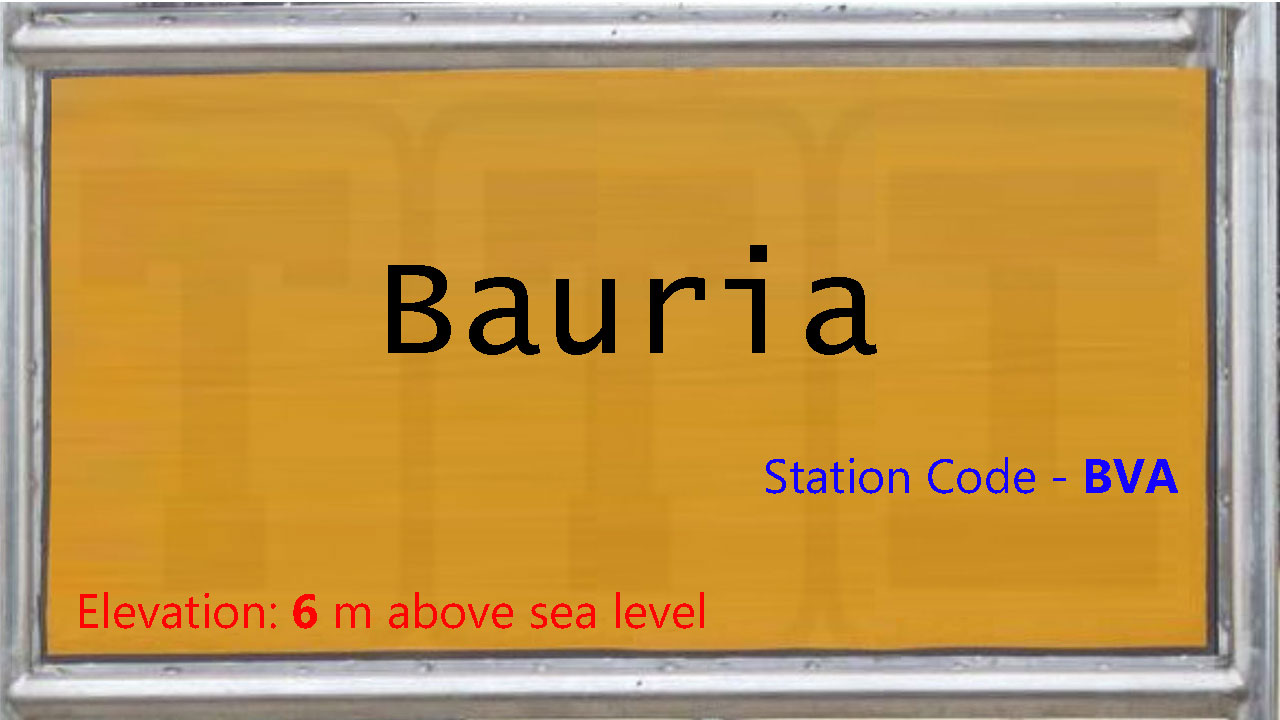 Bauria