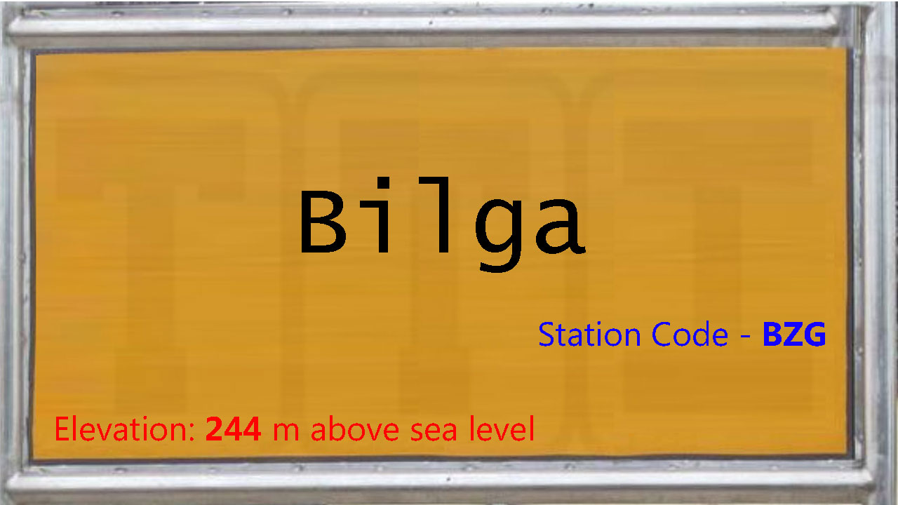 Bilga