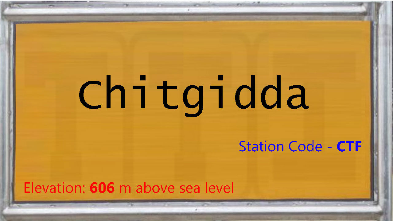 Chitgidda