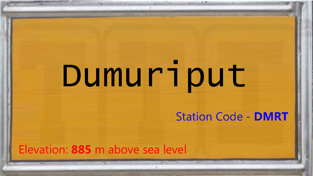 Dumuriput