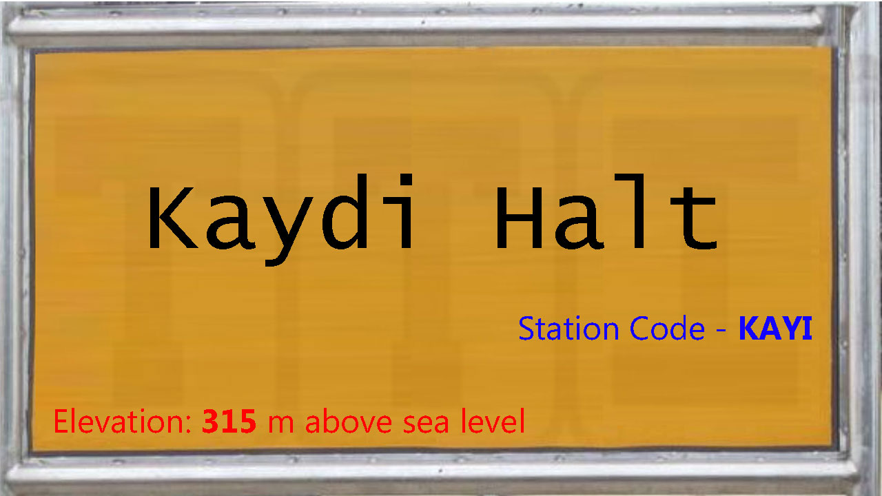 Kaydi Halt