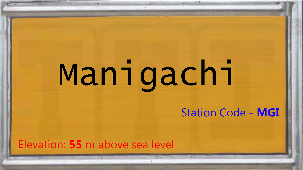 Manigachi