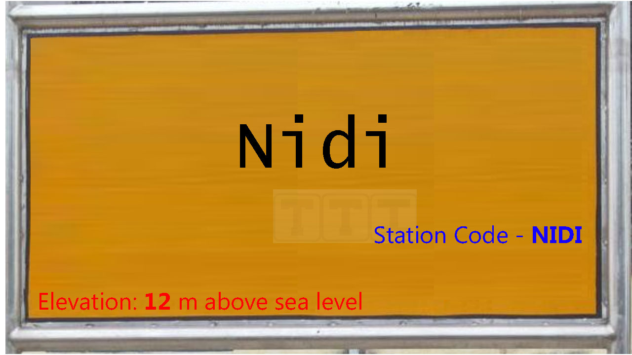 Nidi