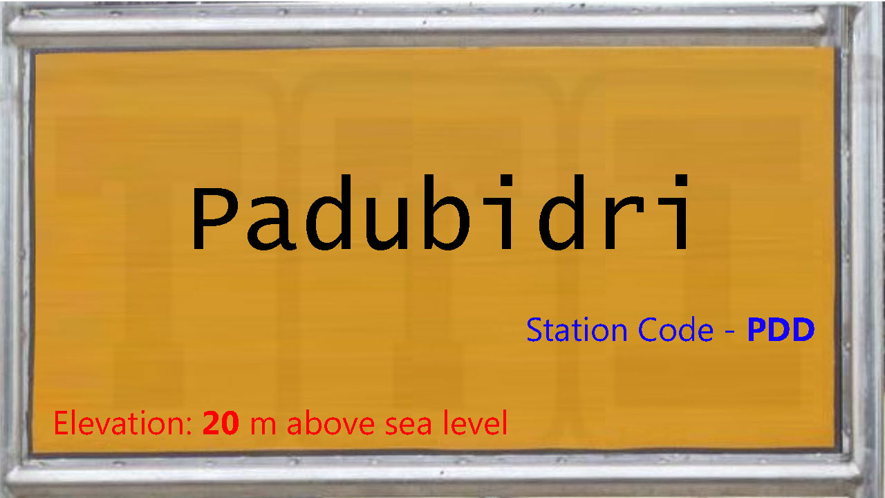 Padubidri